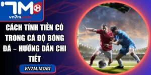 Cách Tính Tiền Cỏ Trong Cá Độ Bóng Đá